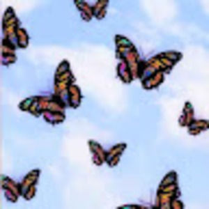 Meet your Posher, Kristy